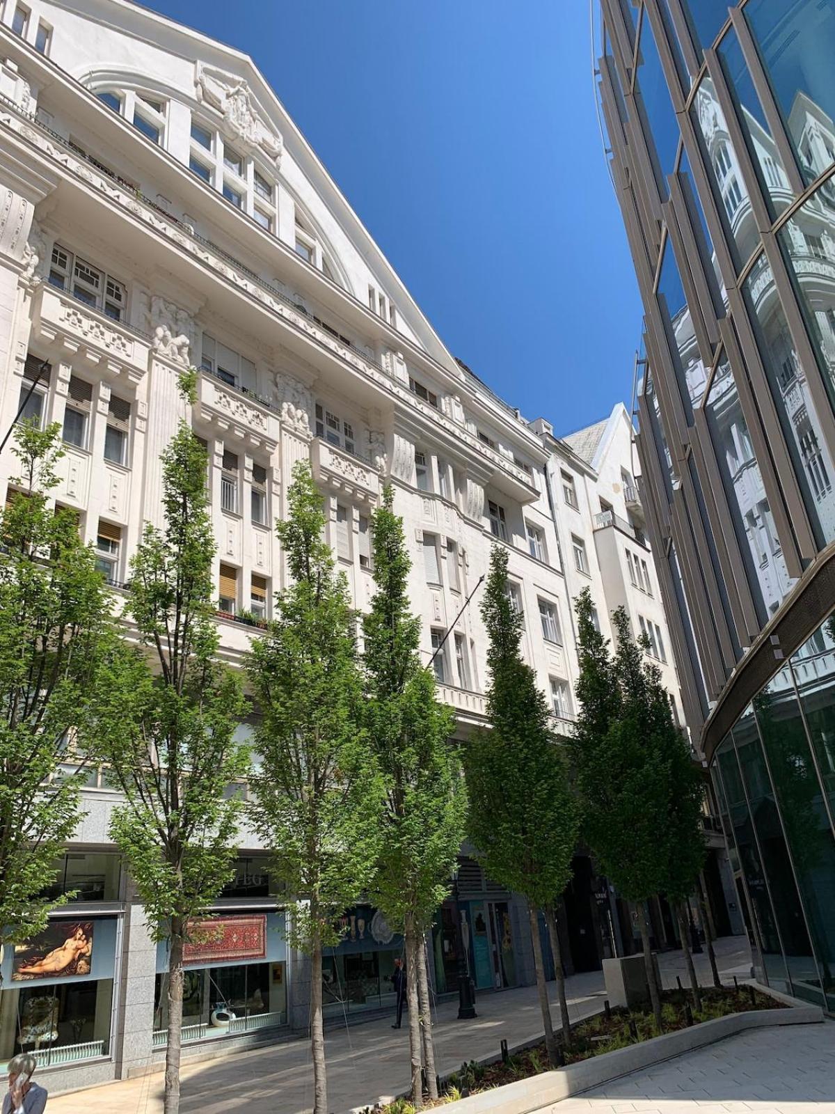 Apartment Lovely In The Heart Of Downtown *
